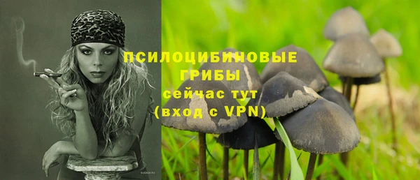 прущая мука Козельск