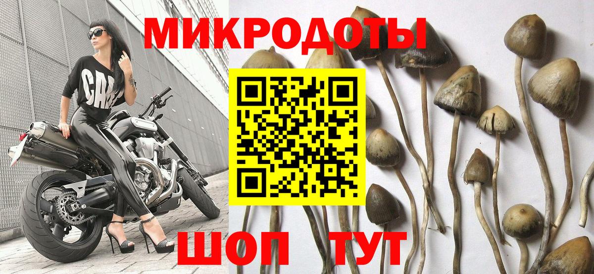Галлюциногенные грибы Magic Shrooms  Псилоцибиновые грибы Magic Shrooms  Кумертау  Вход с VPN 